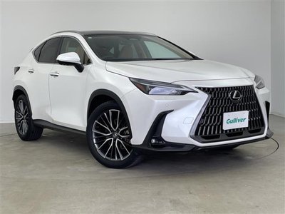 2023 Lexus NX — фото 1