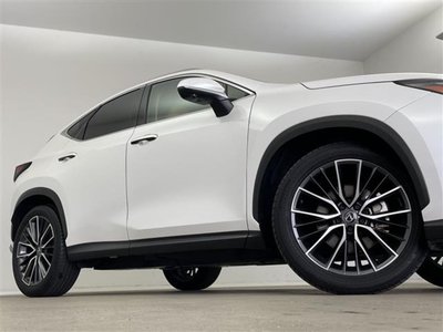 2023 Lexus NX — миниатюра 16
