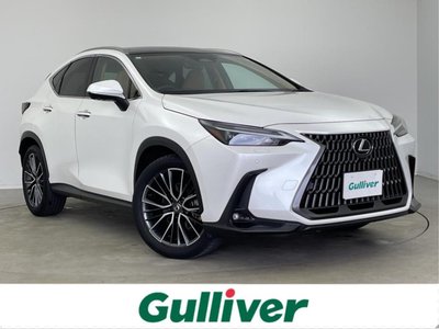 2023 Lexus NX 照片 2