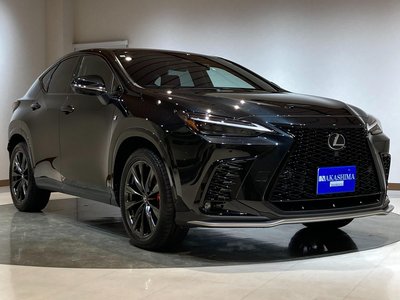 LEXUS NX - 4