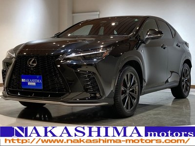 LEXUS NX - 1