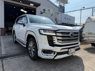 2025 Toyota LAND CRUISER 300 thumbnail 27