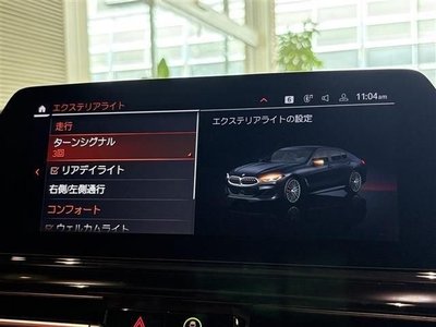 2019 BMW BMW (8 SERIES GRAN COUPE) — миниатюра 24