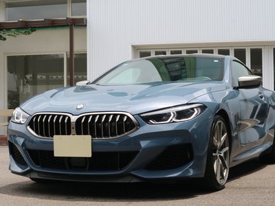 2019 BMW 8 SERIES — фото 1
