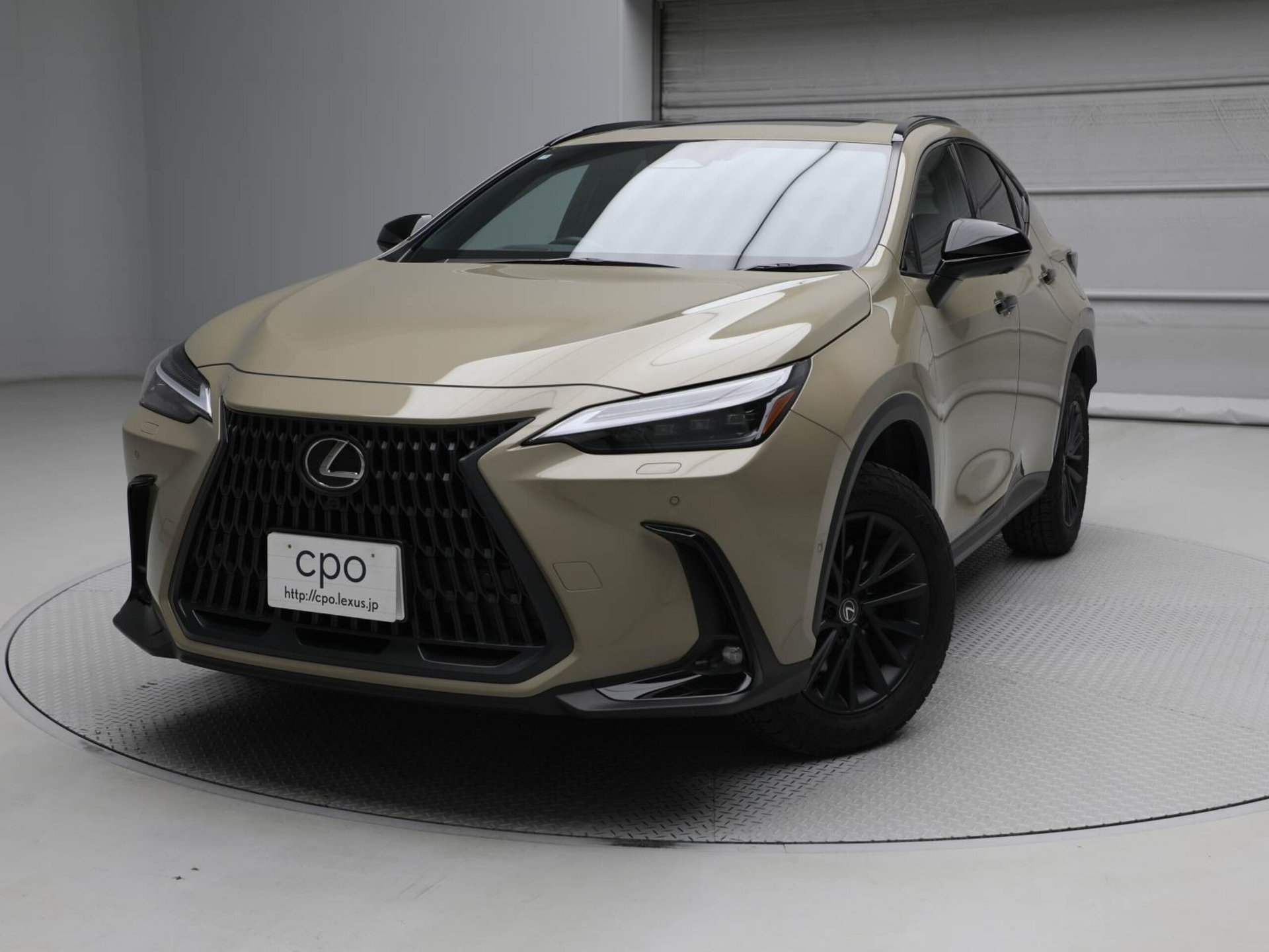 LEXUS NX - View 1