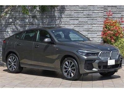 2021 BMW BMW X6 — миниатюра 13