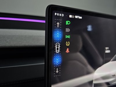 2025 Tesla MODEL Y — миниатюра 12