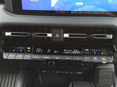 TOYOTA LAND CRUISER 250 - 9
