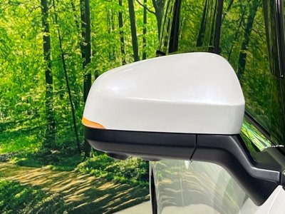صورة مصغرة 66 لـ 2025 TOYOTA ALPHARD