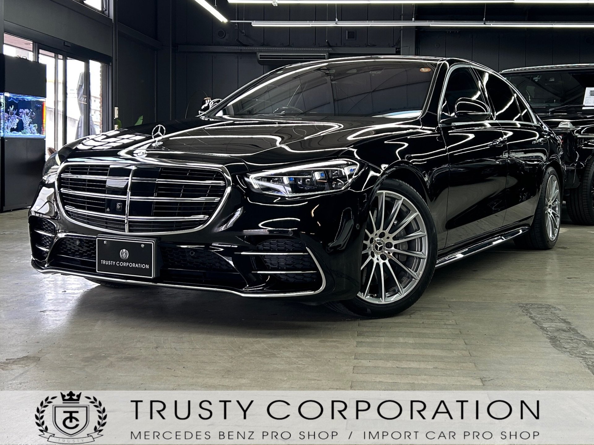 MERCEDES-BENZ S-CLASS - View 1