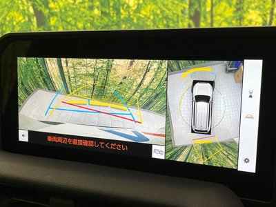 TOYOTA LAND CRUISER 250 - 5