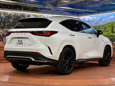 صورة مصغرة 17 لـ 2023 Lexus NX