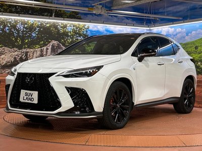 صورة مصغرة 65 لـ 2023 Lexus NX