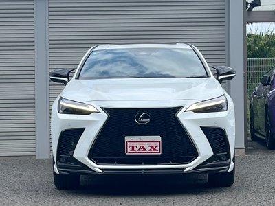 صورة مصغرة 19 لـ 2023 Lexus NX