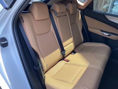 2025 Lexus NX — миниатюра 19