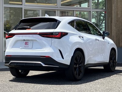 2025 Lexus NX — миниатюра 33