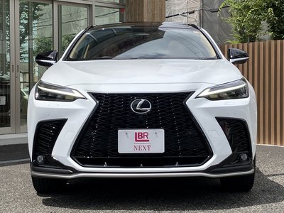 2025 Lexus NX — миниатюра 30