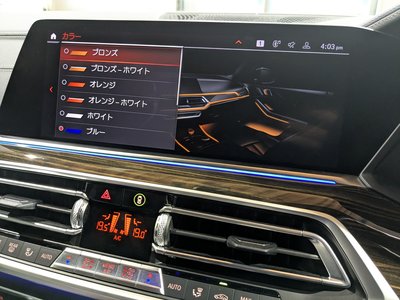 2020 BMW X5 缩略图 30
