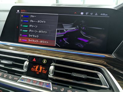 2020 BMW X5 缩略图 31