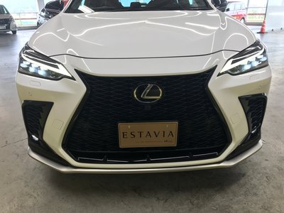 2022 Lexus NX 缩略图 55