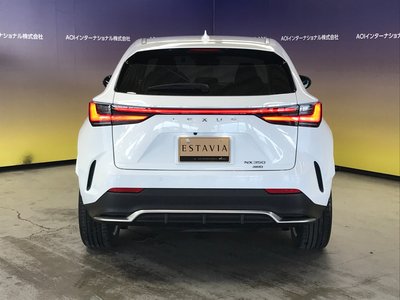 2022 Lexus NX 缩略图 13