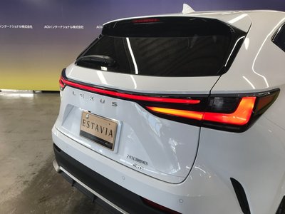 2022 Lexus NX 缩略图 63