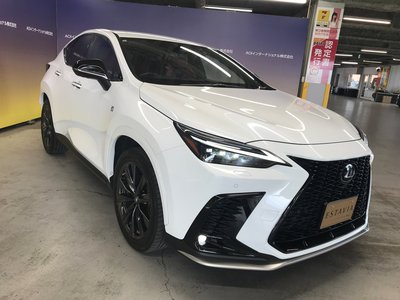 2022 Lexus NX 缩略图 10