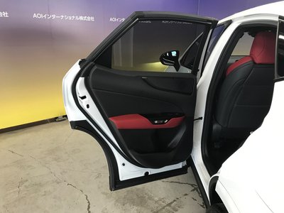 2022 Lexus NX 缩略图 52