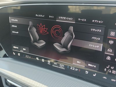 2025 AUDI Q5 SPORTBACK 缩略图 23