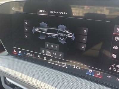 2025 AUDI Q5 SPORTBACK 缩略图 24