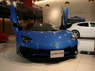 LAMBORGHINI AVENTADOR ROADSTER - 2