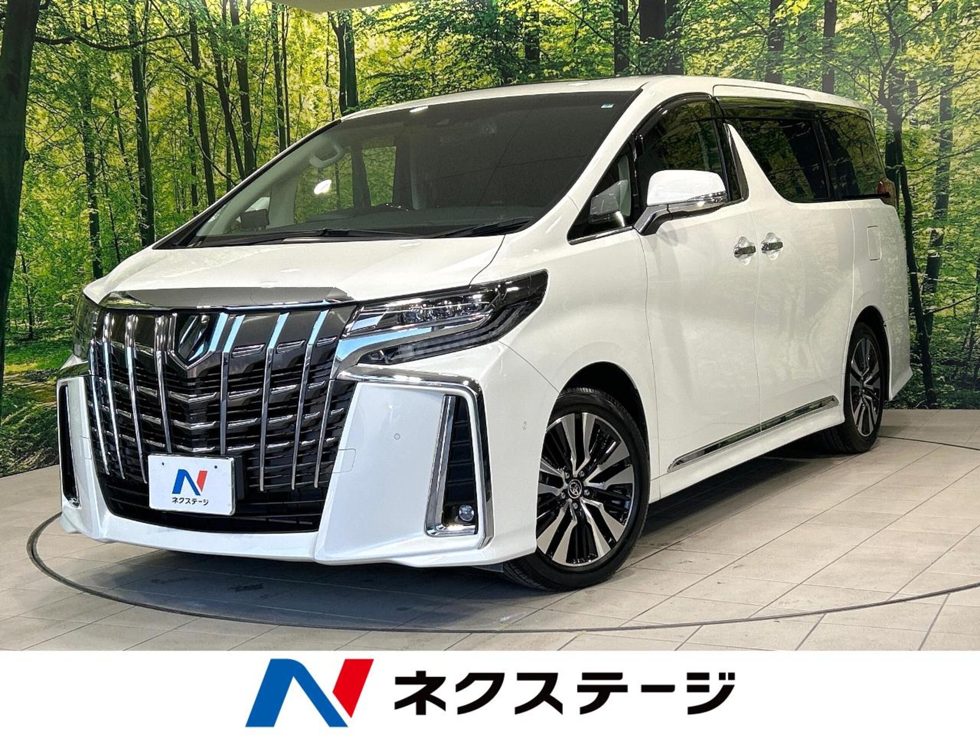 TOYOTA ALPHARD - View 1