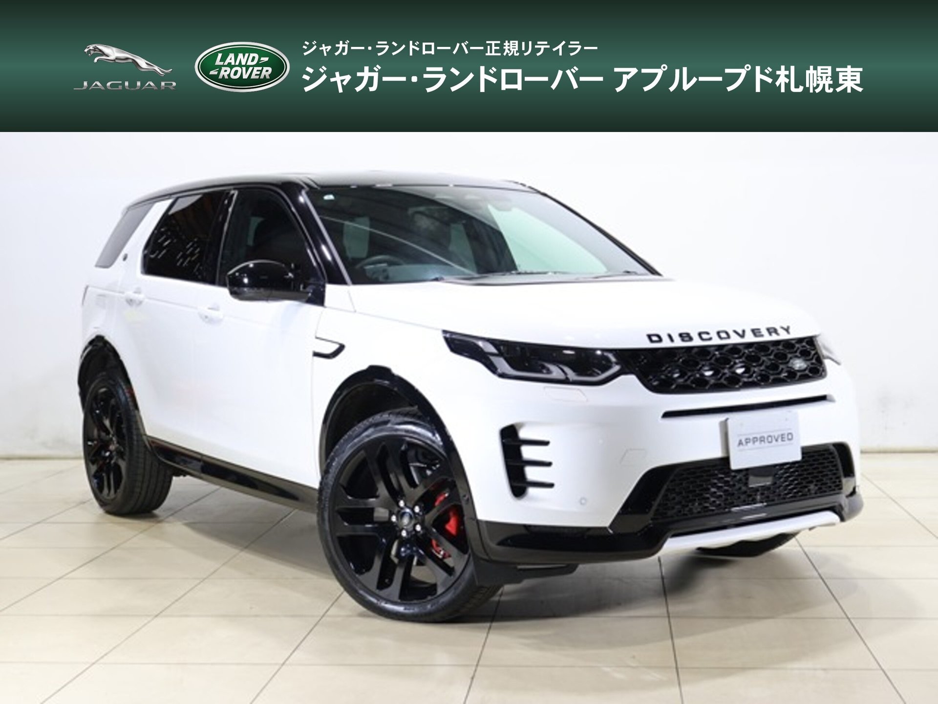 LAND ROVER DISCOVERY SPORT - View 1
