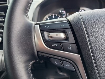 2023 Toyota LAND CRUISER PRADO 缩略图 22