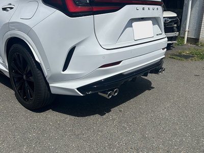 2024 Lexus NX 缩略图 19