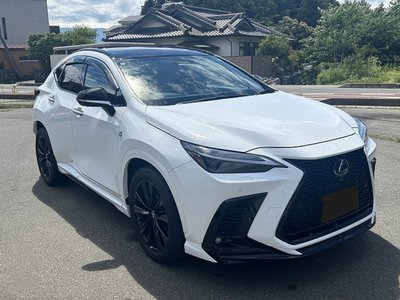 2024 Lexus NX 缩略图 12