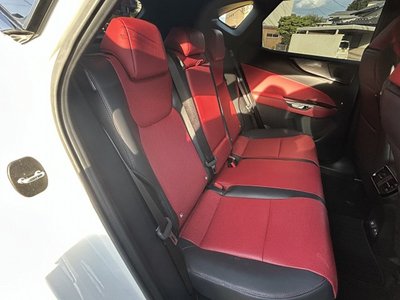 2024 Lexus NX 缩略图 42