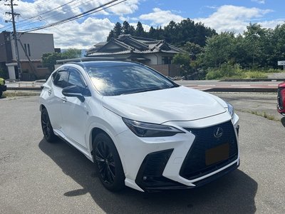 2024 Lexus NX 缩略图 13