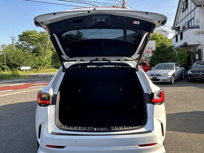 2024 Lexus NX 缩略图 33