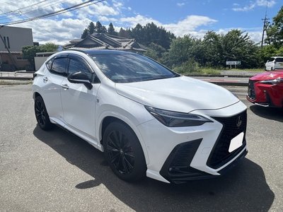 2024 Lexus NX 缩略图 14