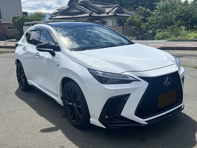 2024 Lexus NX 缩略图 11