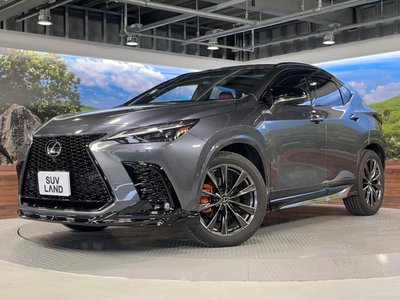2023 Lexus NX — миниатюра 73