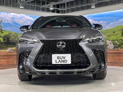 2023 Lexus NX — миниатюра 15
