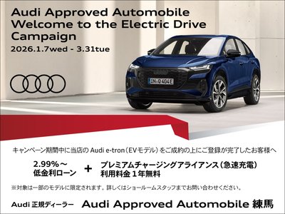 AUDI A6 AVANT E-TRON - 4