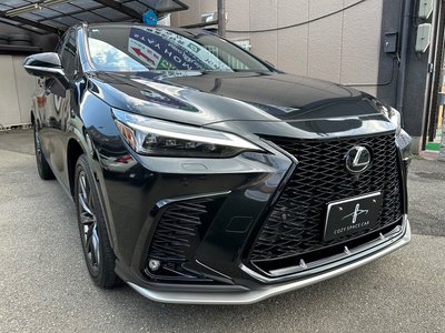 LEXUS NX - 6