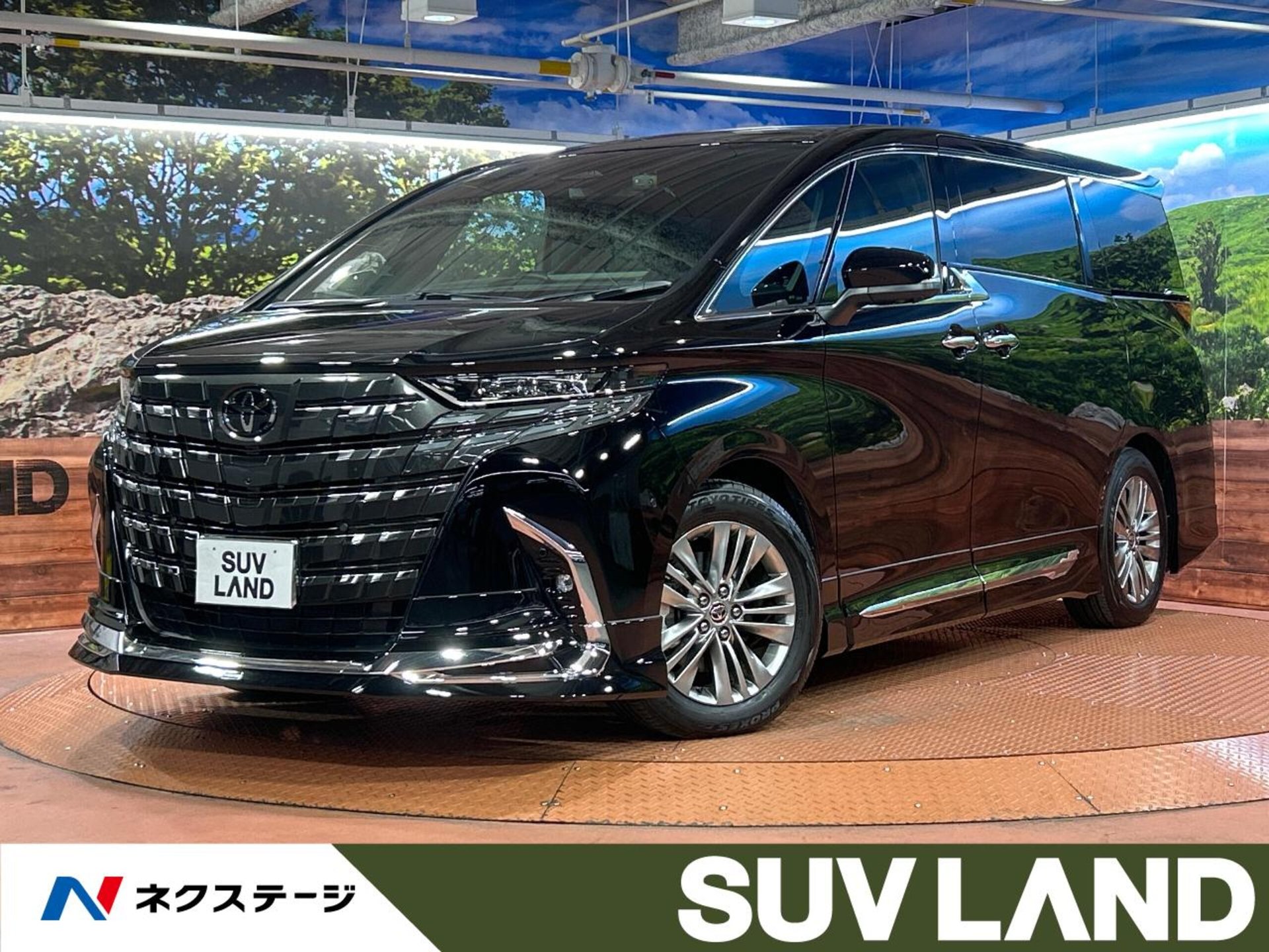 TOYOTA ALPHARD - View 1