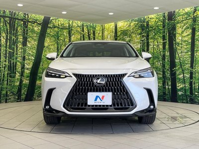 2023 Lexus NX thumbnail 15