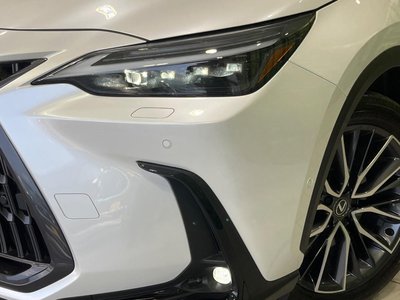 2023 Lexus NX thumbnail 13