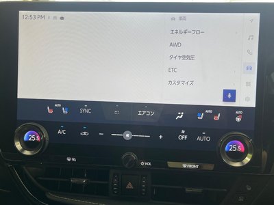 2023 Lexus NX thumbnail 29