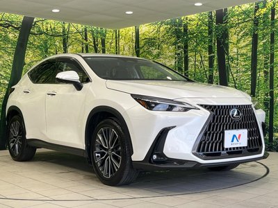 2023 Lexus NX thumbnail 17